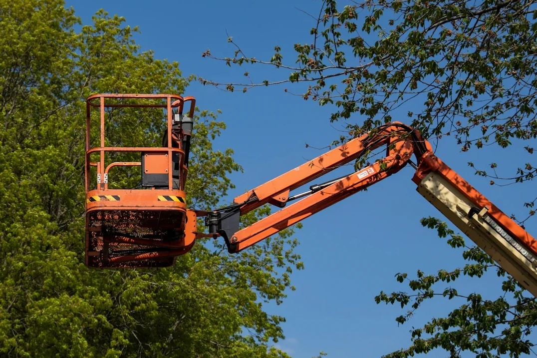 Power Line Clearance Trimming in Huntsville, AL
